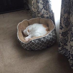 Meet your Posher, Alecia